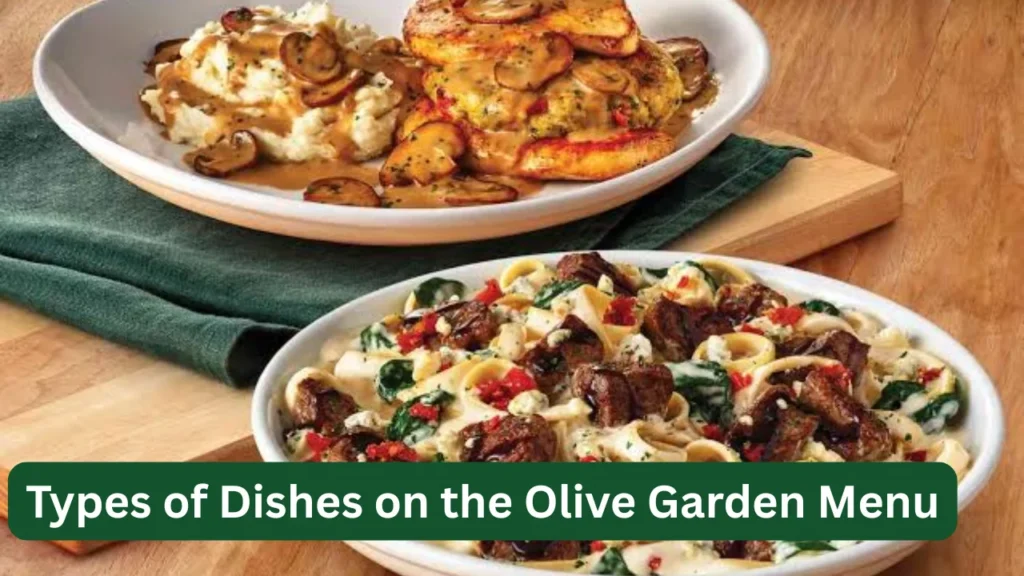 Types of Dishes on the Olive Garden Menu