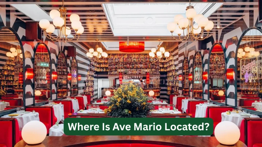 Where Is Ave Mario Located 1